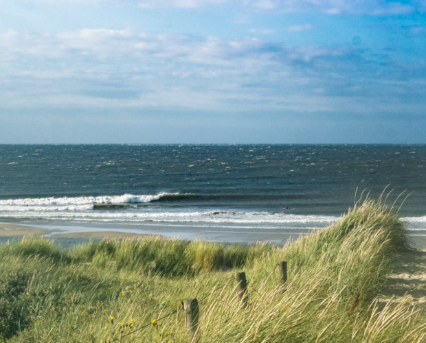 surfing in the netherlands