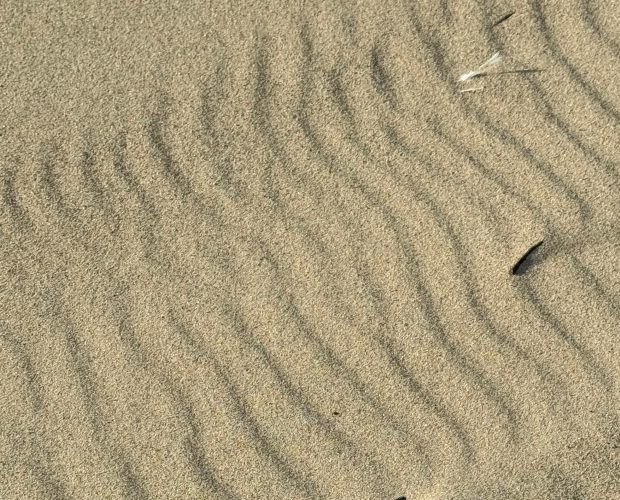 lines in the sand