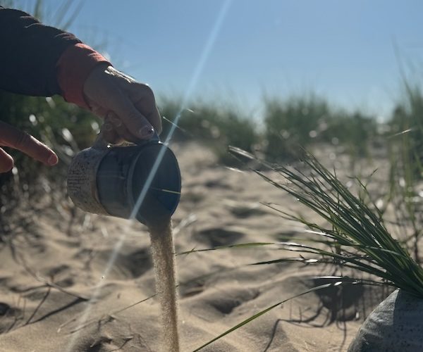 From shoreline to studio it all begins with sand