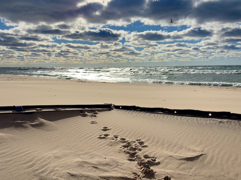 lake michigan beach sand water