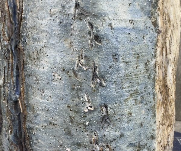 from-shoreline-to-studio-time-texture-and-what-we-notice